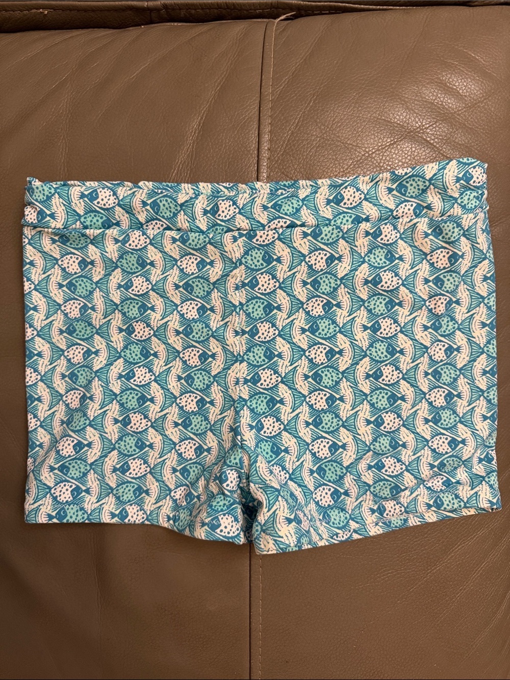 Garnet Hill Kids Swim Shorts in Aqua Blue and White Fish Print size 14
